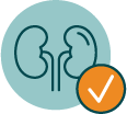 Line icon of kidneys with orange circle and checkmark