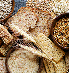 Variety of Nutritious Whole Grain Food